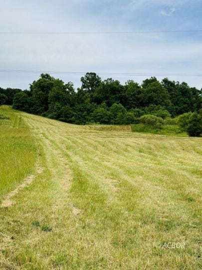 Looking toward wooded area from road
