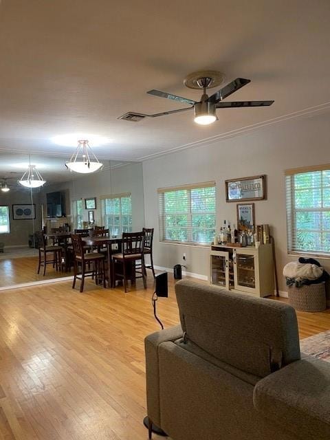 6625 Nervia St, Coral Gables, FL 33146 - photo 3