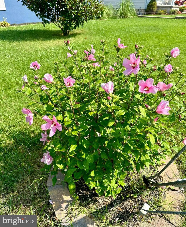 820 Waterview Dr, Orchard Beach, MD 21226 - photo 7