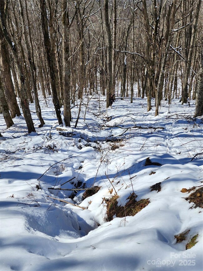 479 El Miner Dr, Mars Hill, NC 28754 - photo 5