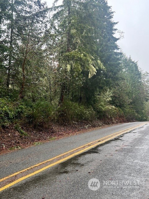 7515 Whiteman Rd SW, Longbranch, WA 98351 - photo 6