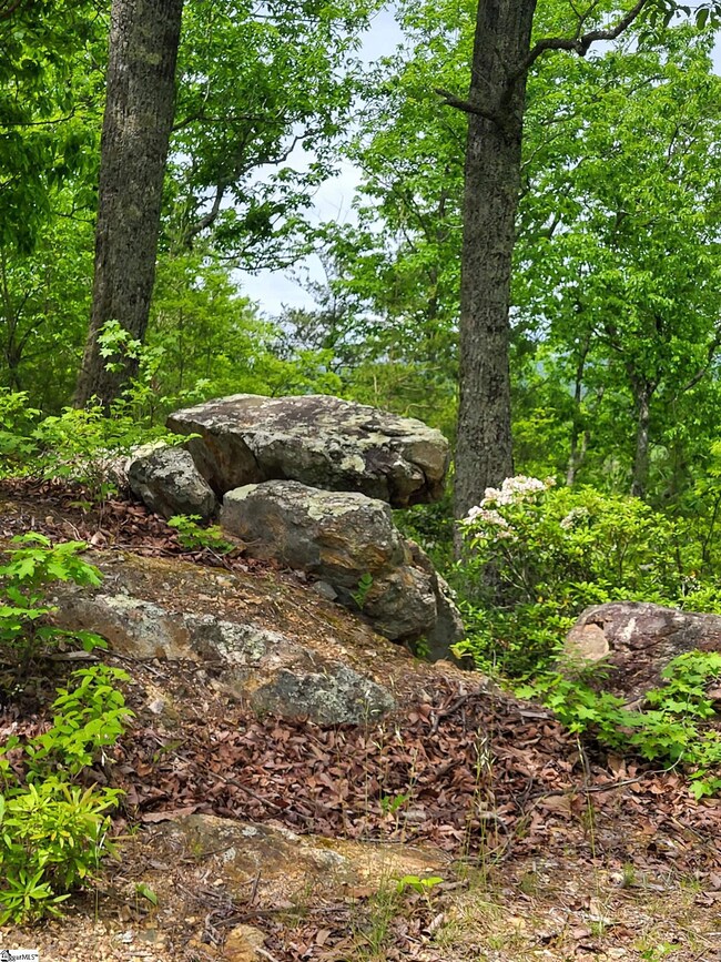 1130 Packs Mountain Ridge Rd, Taylors, SC 29687 - photo 7