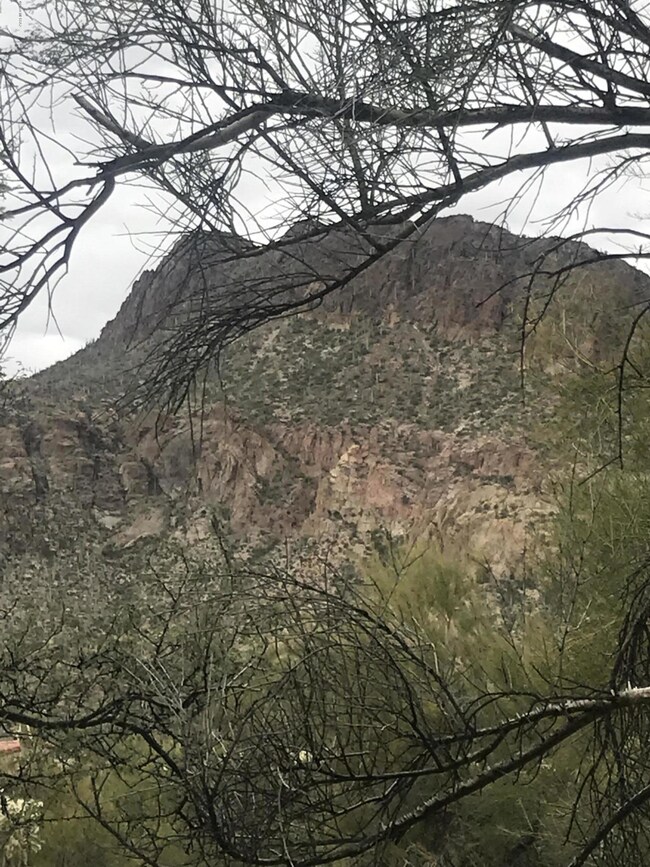 Lot view