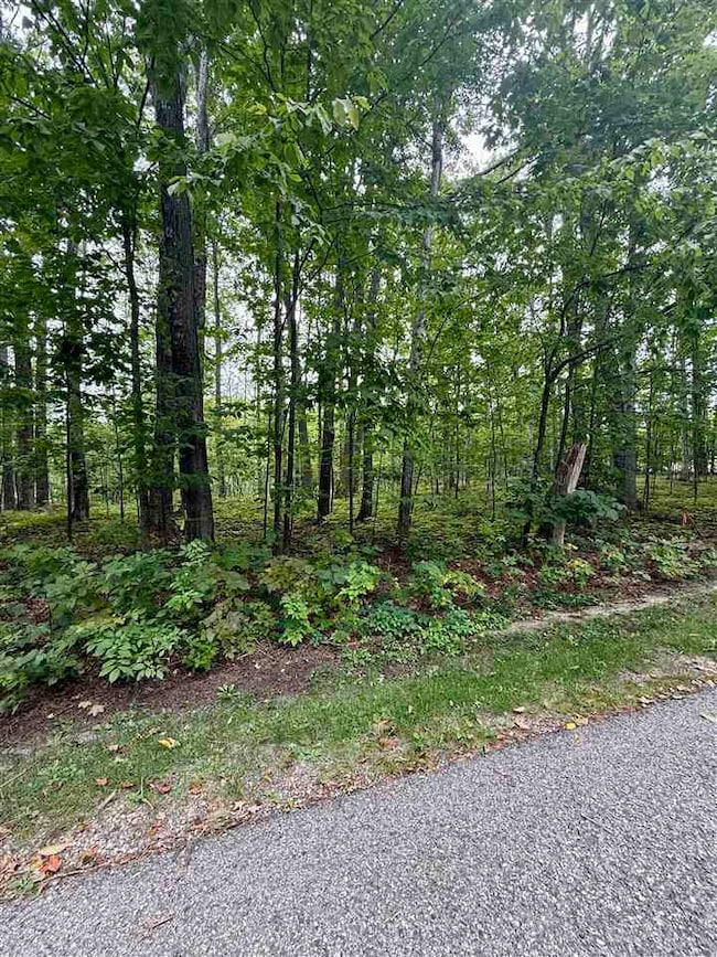 TBD Meadow Wood Dr, Pleasantview Township, MI 49740 - photo 3