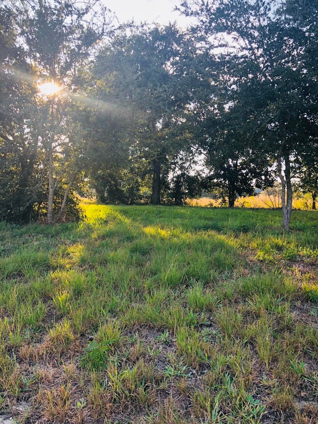 101 Wenmar Ave, Pass Christian, MS 39571 - photo 4