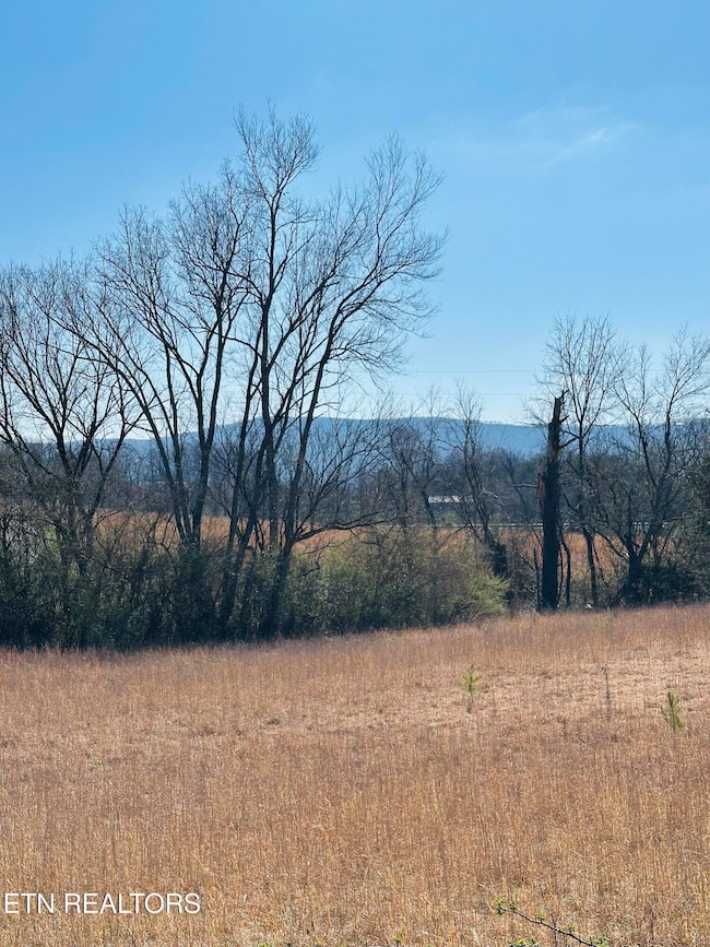 0 US 127, Pikeville, TN 37367 - photo 7