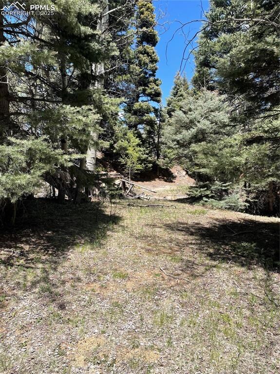 146 Gibson Rd, Westcliffe, CO 81252 - photo 7