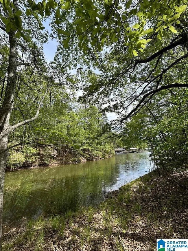 Lots 123 Red Cedar, Wedowee, AL 36278 - photo 4