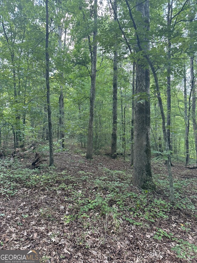 0 Fears Rd unit 10647993, Madison, GA 30650 - photo 2