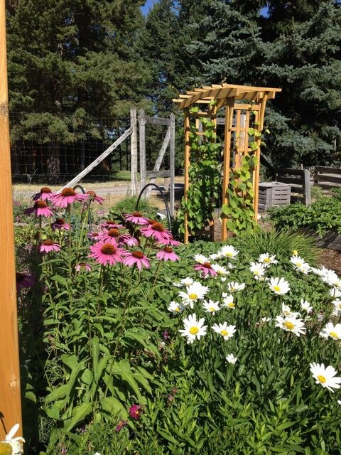 196 Slow Down Ln, Bigfork, MT 59911 - photo 2