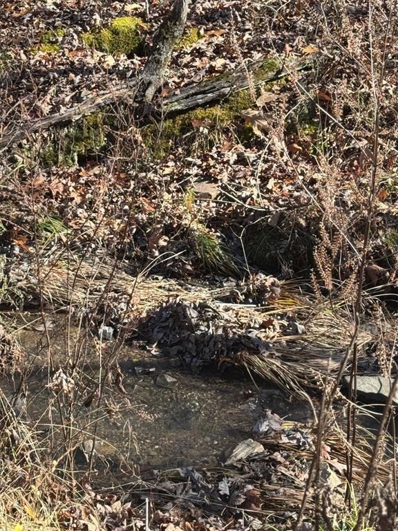 158 Western Maple Trail, Broken Bow, OK 74728 - photo 4