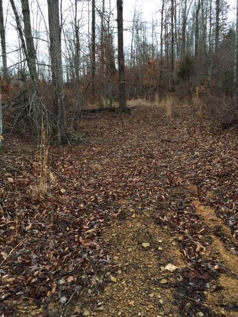 13001 Highway 192, Somerset, KY 42501 - photo 3