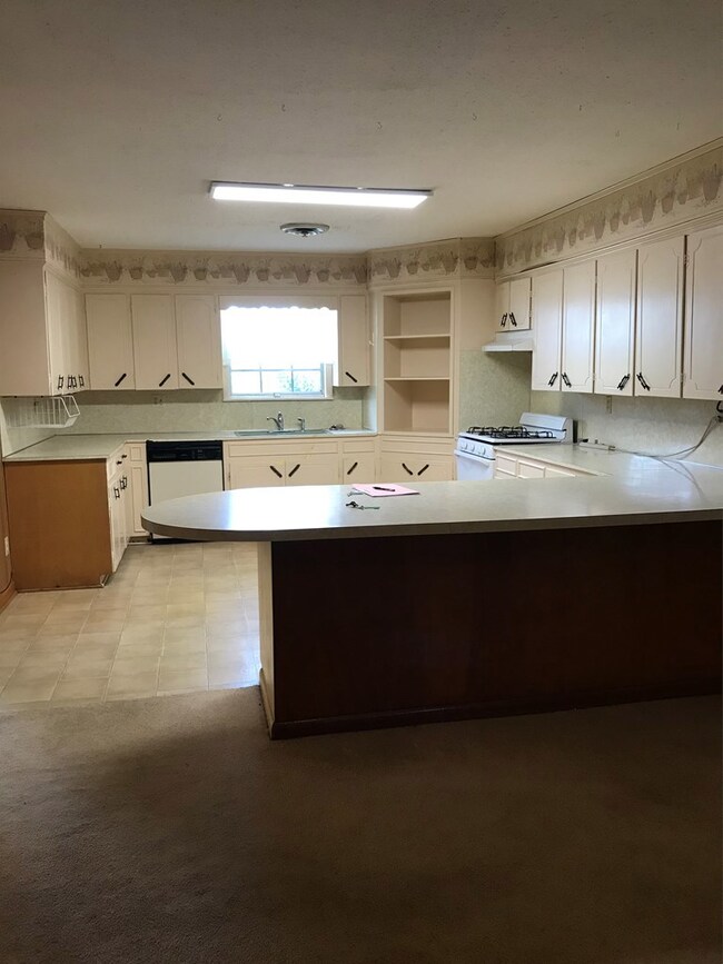 Kitchen w/cabinets galore