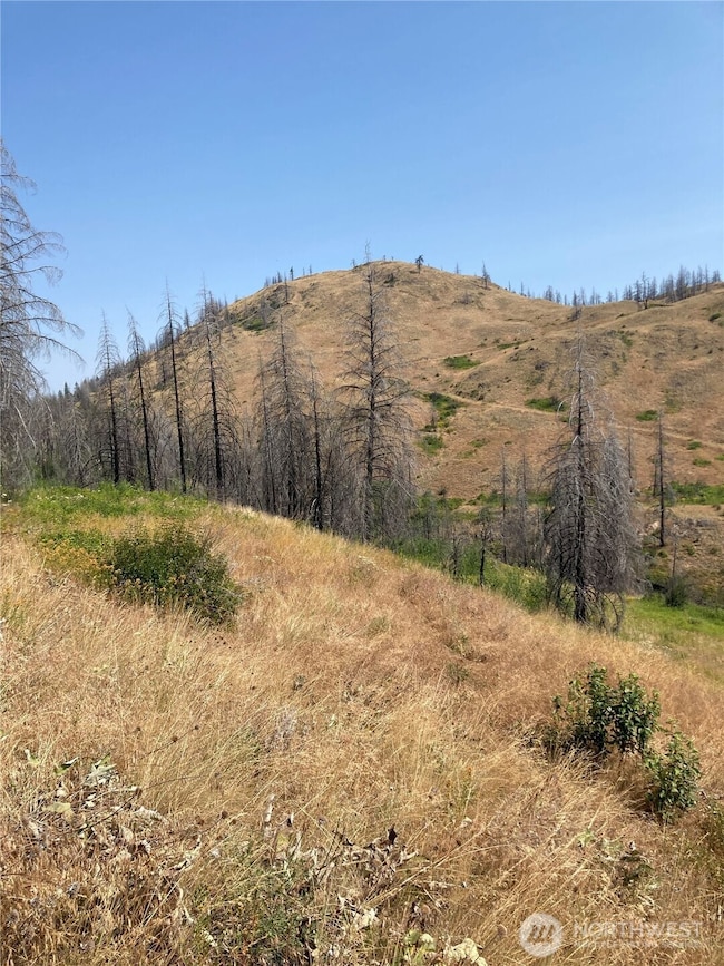 1111 Bottom Rd, Tonasket, WA 98855 - photo 5