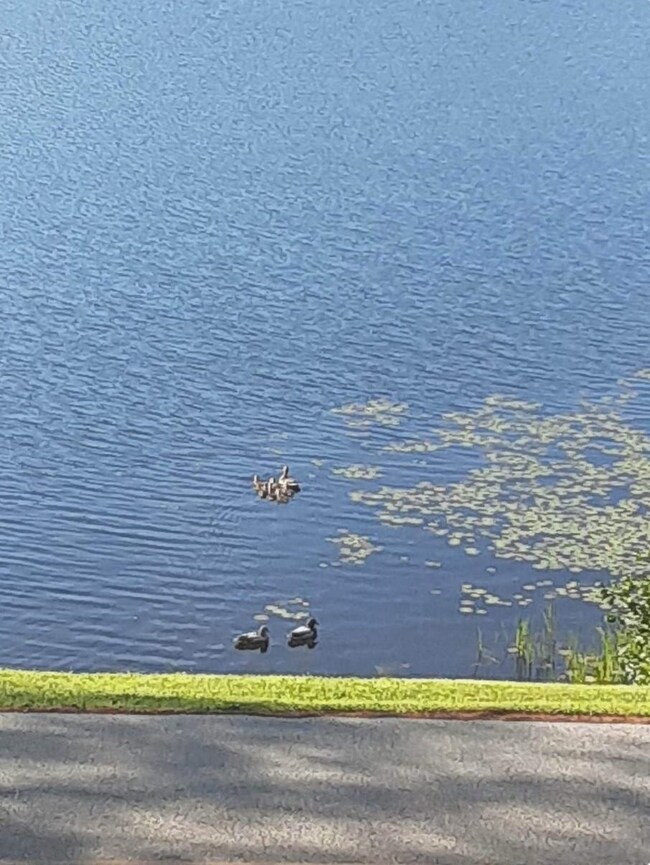 691 Burr Pond Rd, Sudbury, VT 05733 - photo 4