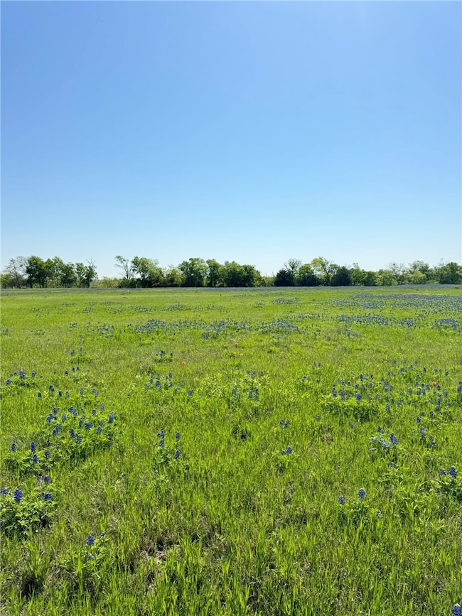 5.01 Acres Farm To Market 308, Penelope, TX 76676 - photo 2