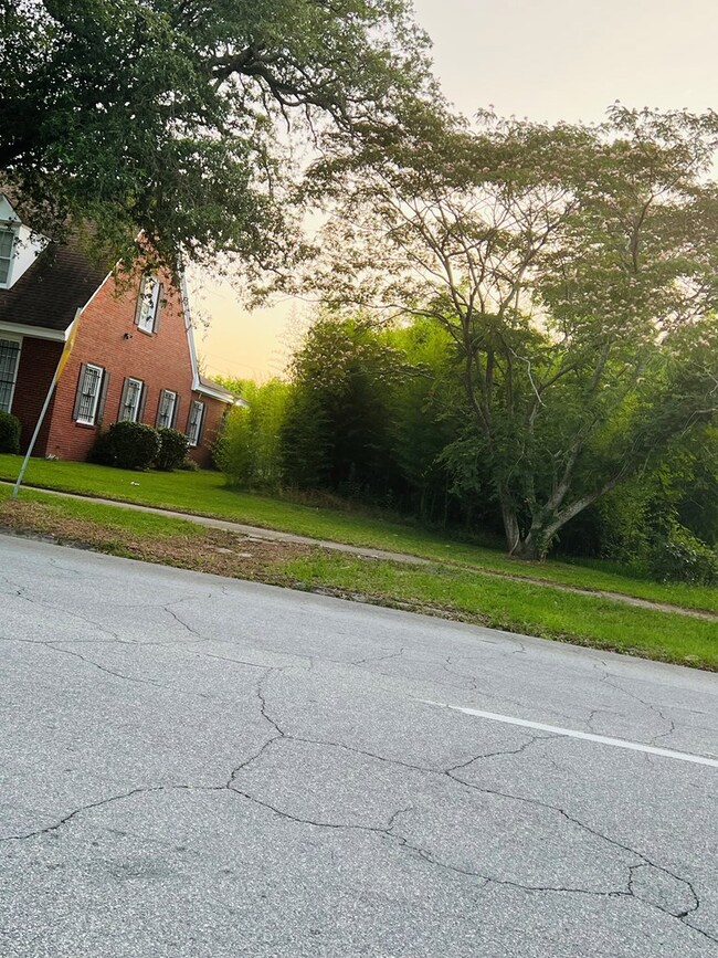 413 N Jackson St, Albany, GA 31701 - photo 4
