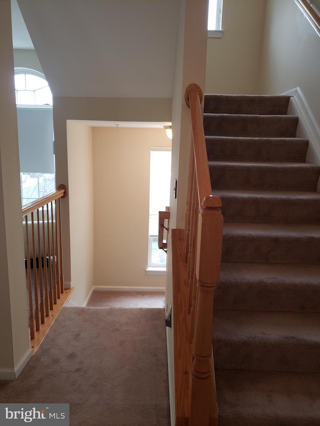 24744 Stone Station Terrace, Stone Ridge, VA 20105 - photo 4