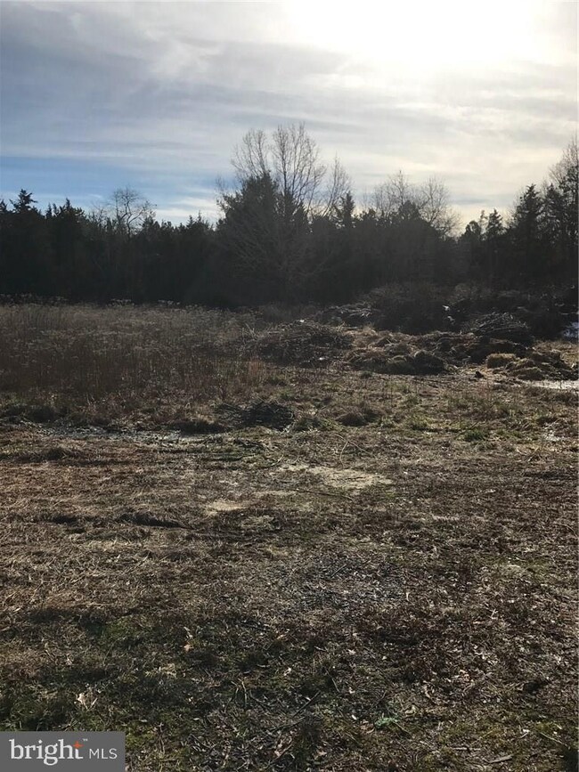 Lot 4.04 Nugentown Rd, Tuckerton, NJ 08087 - photo 3