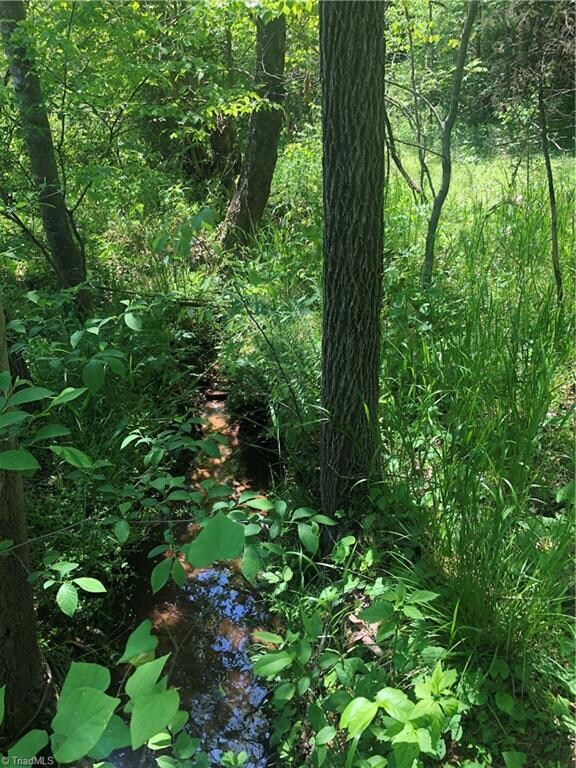 1245 Marion Spencer Rd, Lawsonville, NC 27022 - photo 6