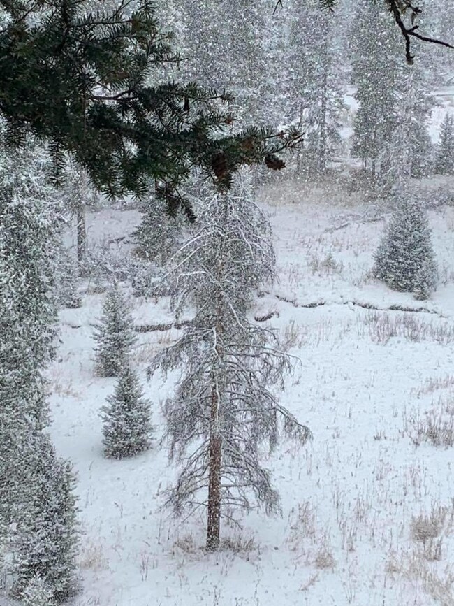 Lot 19a-1 Ousel Falls Rd, Big Sky, MT 59730 - photo 3