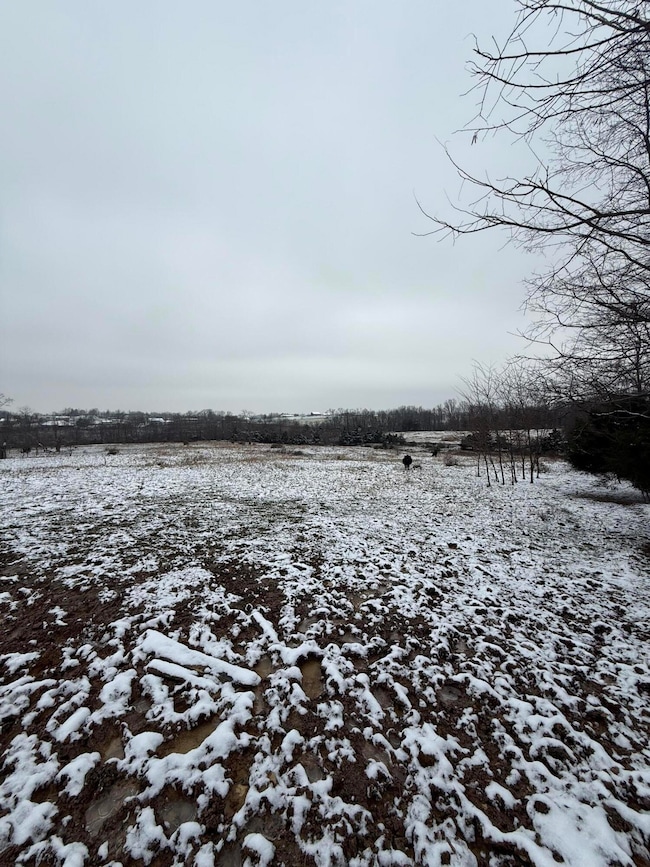 1013-B Salem Pike, Cynthiana, KY 41031 - photo 4