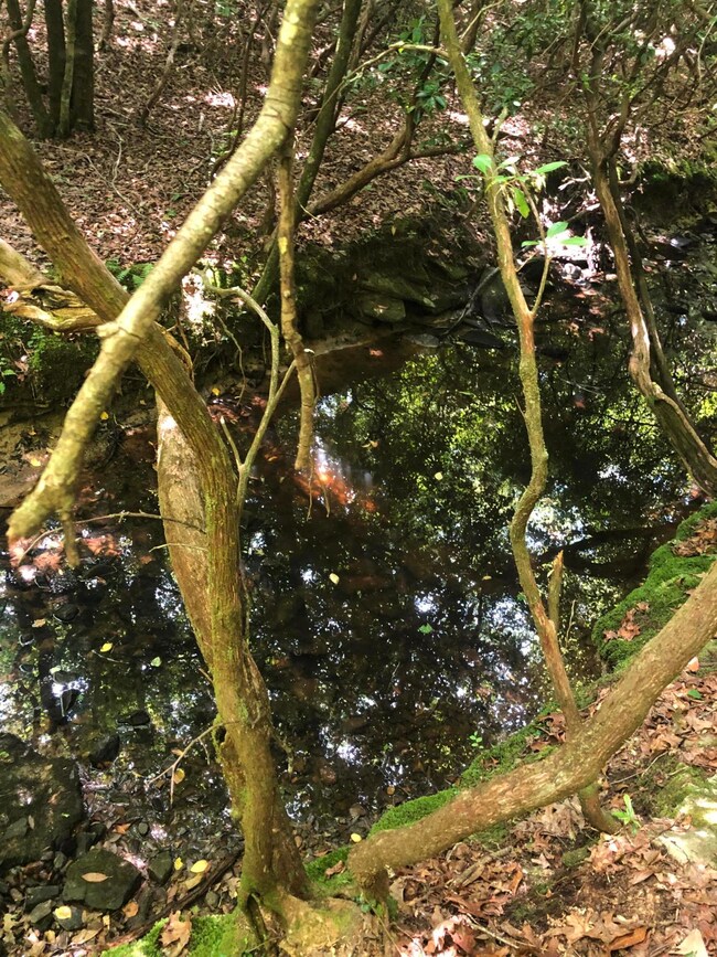 Creek