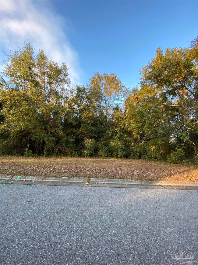 Mature Trees on .86 Acre Lot