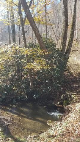 000 Fox Creek Rd, Burnsville, NC 28714 - photo 3