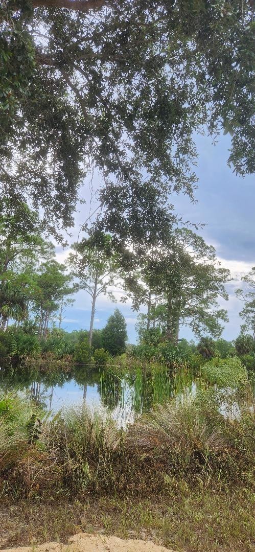 Lot 9 SW 104th Ct, Cedar Key, FL 32625 - photo 5