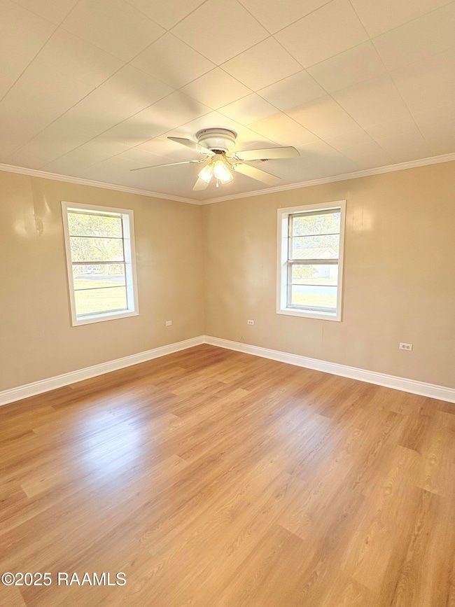 804 N Louisiana Ave, Kaplan, LA 70548 - photo 5