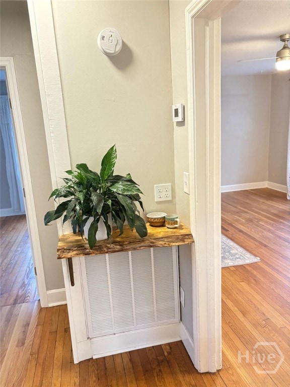 2303 E 42nd St, Savannah, GA 31404 - photo 4