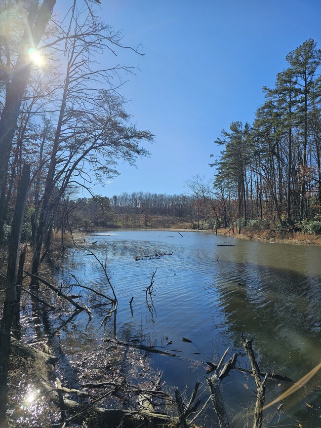 242 Ranger Creek Rd, Coalmont, TN 37313 - photo 7