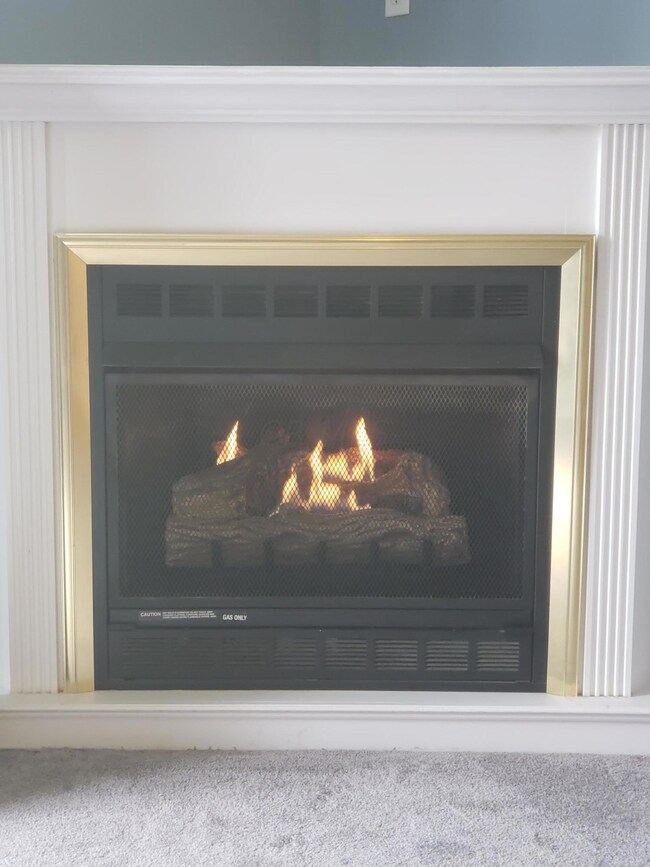 Bashan Fireplace