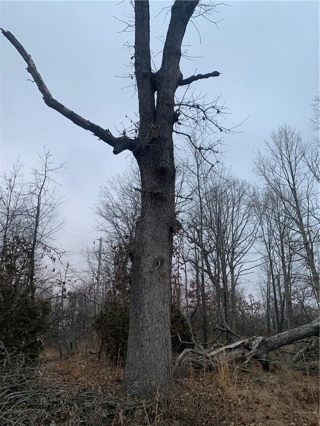 0 Logan Cave 5 Acres + - Rd unit 1173991, Siloam Springs, AR 72761 - photo 3