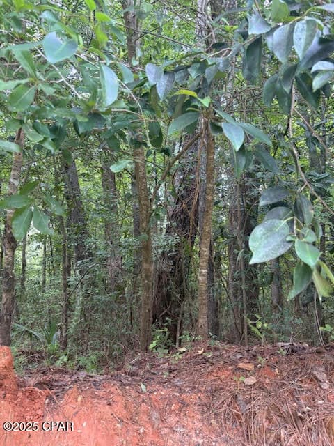 0 Pt Milligan Rd unit 778755, Quincy, FL o - photo 6