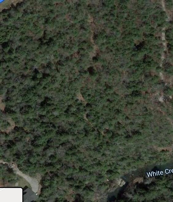 Hemlock Bluff Way Lot 48 satellite