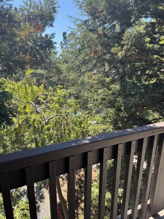 3322 Brittan Ave unit 11, San Carlos, CA 94070 - photo 6