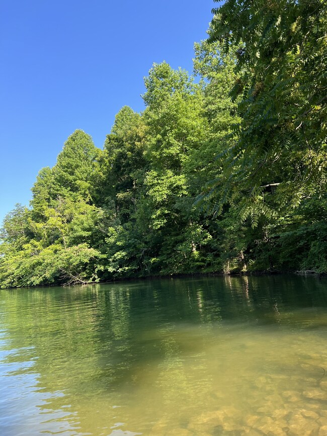 Lake Front of property- TVA access