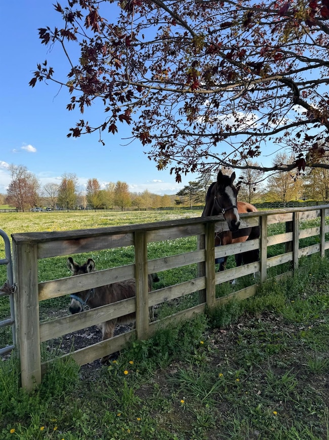 Fence