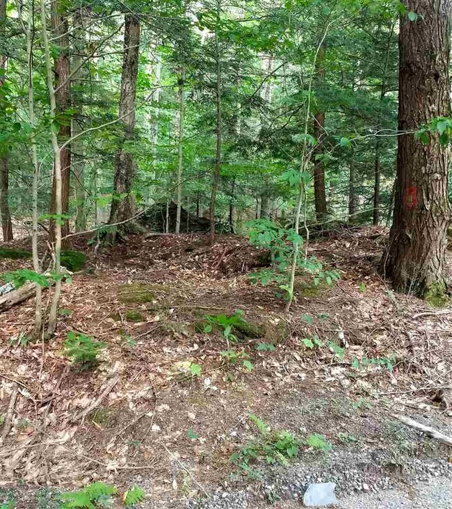 89 Snow Rd unit Lots 7 & 8, Dover, VT 05341 - photo 3