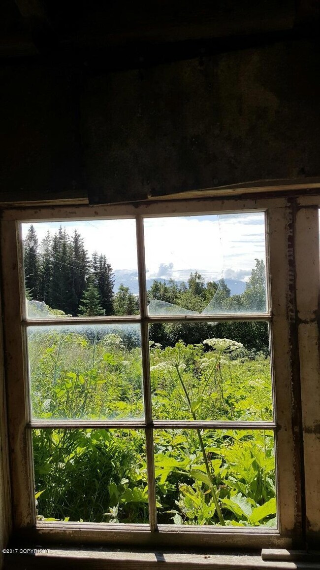 cabin view