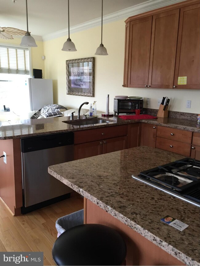 4319 Vintage Ivy Ln, Owings Mills, MD 21117 - photo 3