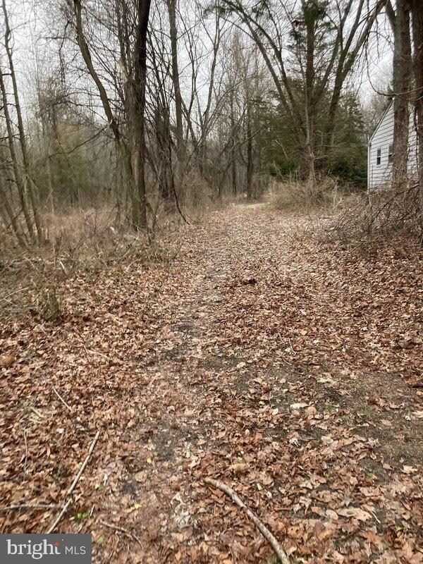 108 Kelly Driver Rd, Clementon, NJ 08021 - photo 3