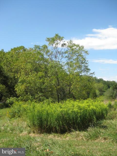 0 Keefer Rd unit 1002934936, Big Pool, MD 21711 - photo 4