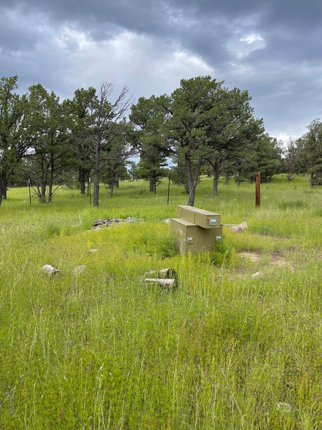 165 Reid Rd, Datil, NM 87821 - photo 5