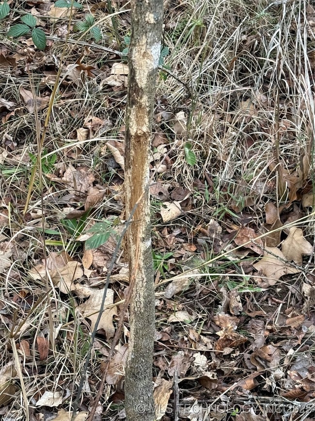 805 Road, Fort Gibson, OK 74434 - photo 4