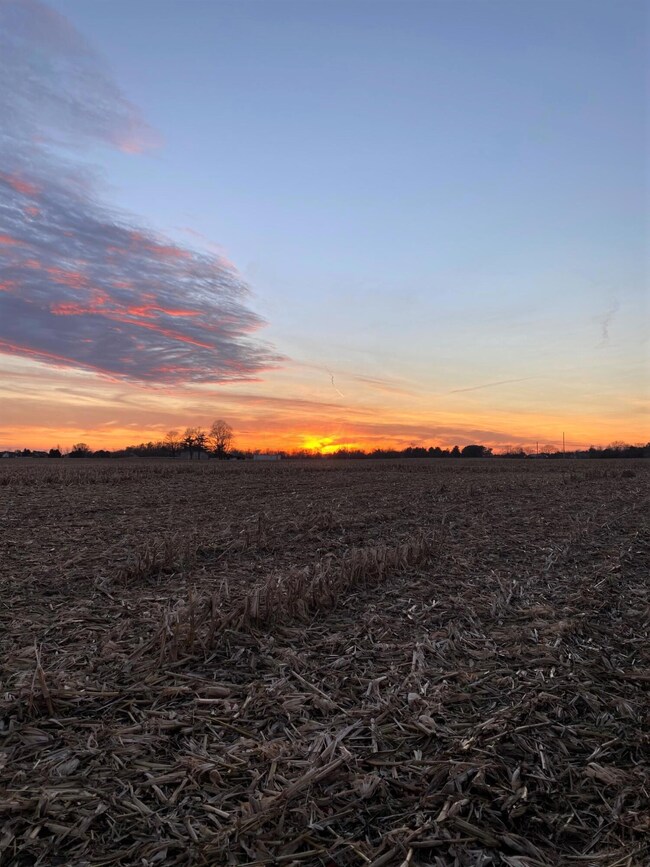Sunsets 2