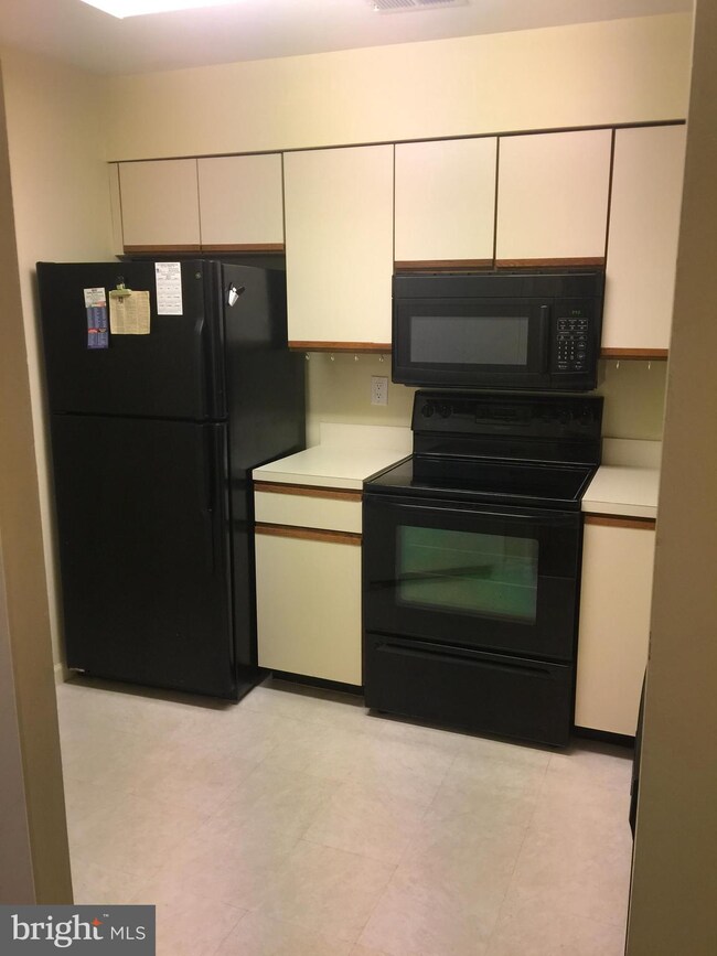 3800 Ski Lodge Dr unit 110, Burtonsville, MD 20866 - photo 5