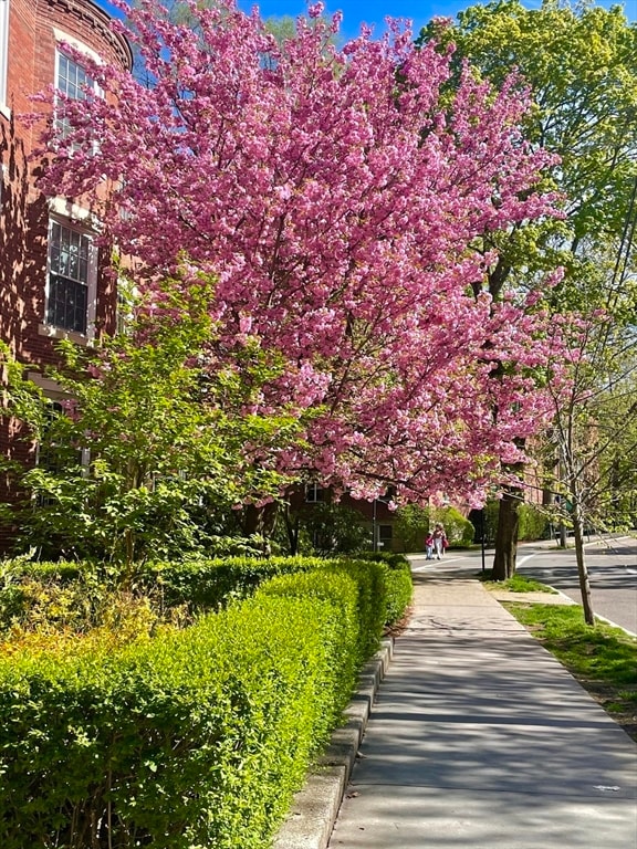 18 Dean Rd unit 3, Brookline, MA 02445 - photo 2